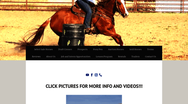 busterhorses.com