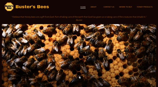 bustersbees.com