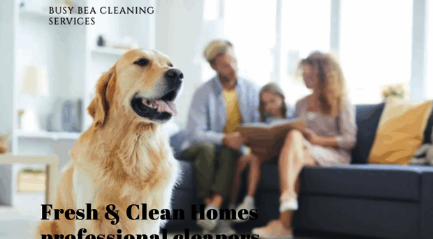 busybeacleaning.com