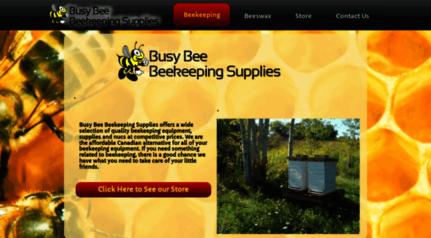 busybeebeekeepingsupplies.com