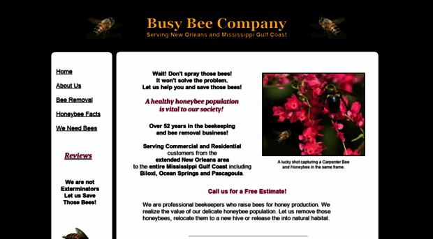 busybeecompany.com