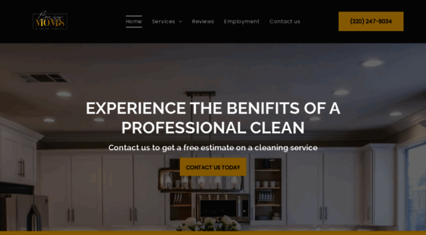 busymomscleaningservice.com