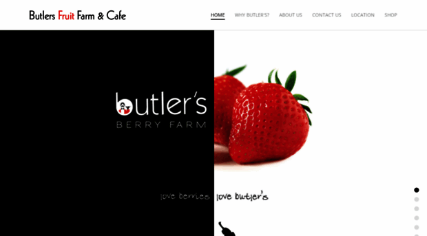 butlersberries.co.nz