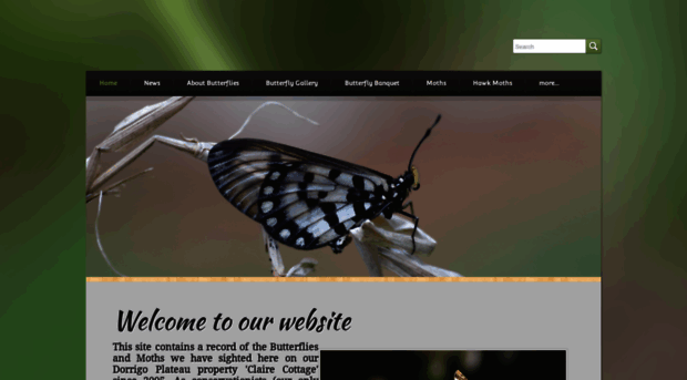 butterfliesdorrigo.weebly.com
