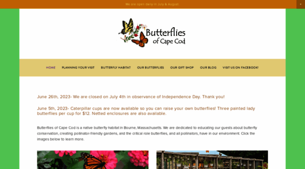 butterfliesofcapecod.com