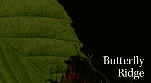 butterfly-ridge.com