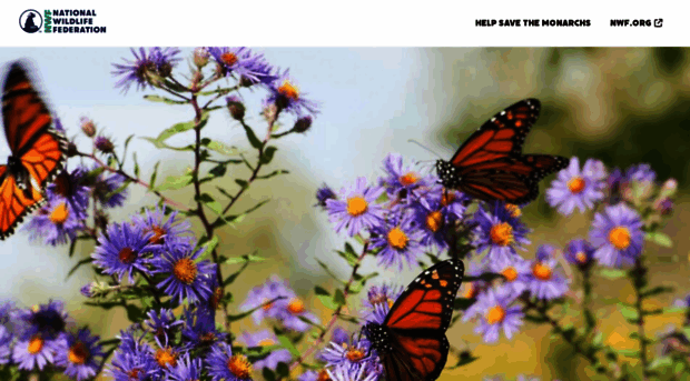 butterfly.nwf.org
