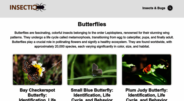 butterflycorner.net