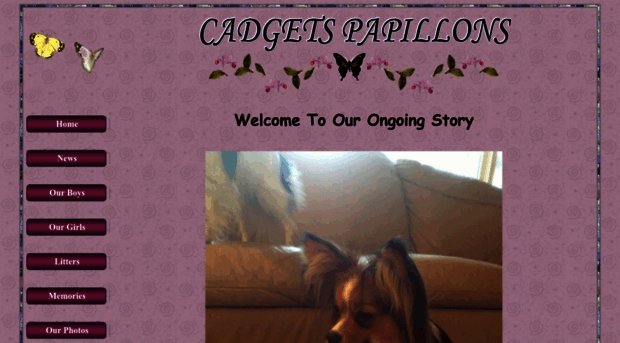 butterflydogs.com