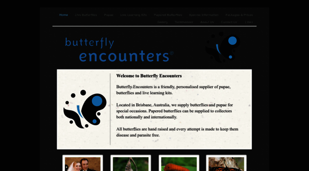 butterflyencounters.com.au