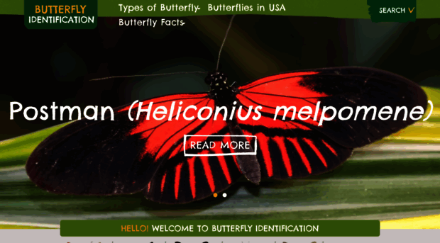 butterflyidentification.com