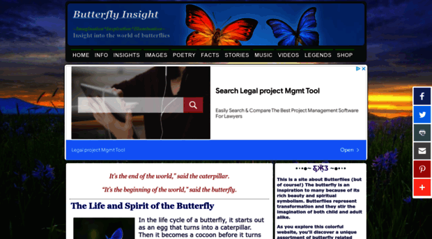 butterflyinsight.com