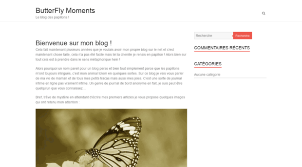 butterflymoments.fr