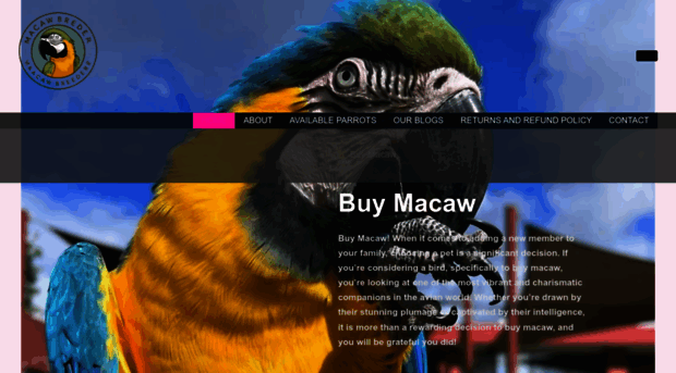 buy-macaw.com