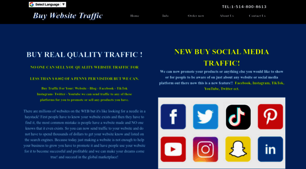 buy-websitetraffic.net