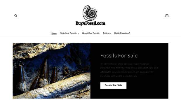 buyafossil.com