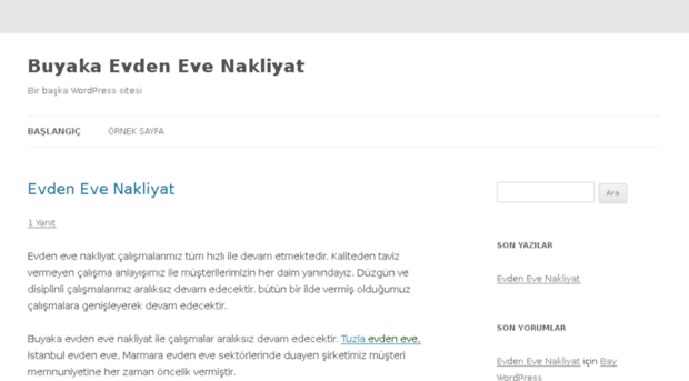 buyakaevdenevenakliyat.com