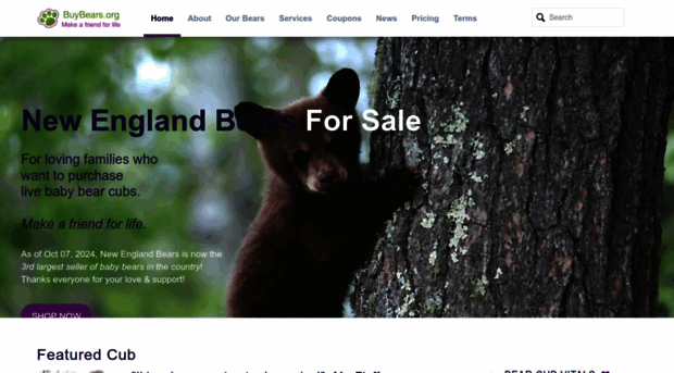 buybears.org