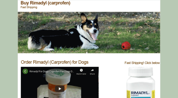 buydogpainmedication.com