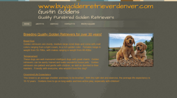 buygoldenretrieverdenver.com