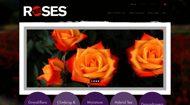 buyroses365.com