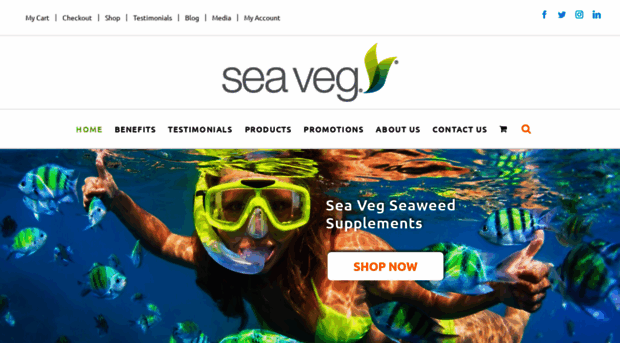 buyseaveg.com