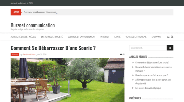 buzz-net.fr
