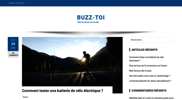 buzz-toi.com