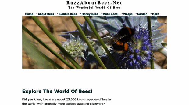 buzzaboutbees.net