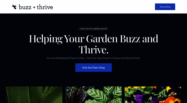 buzzandthrive.com