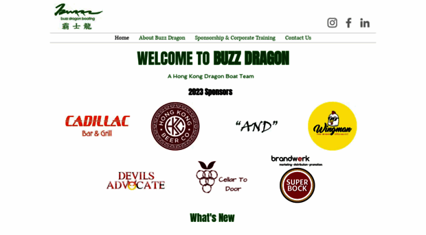 buzzdragon.com