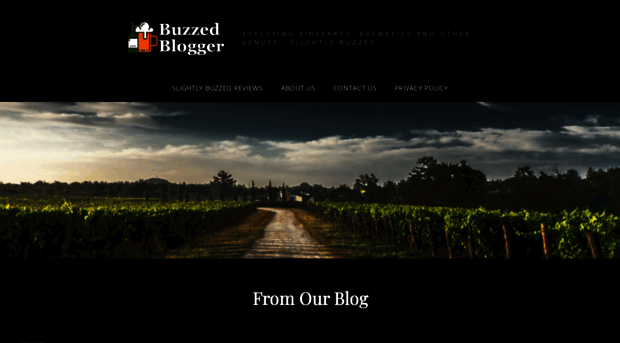 buzzedblogger.com