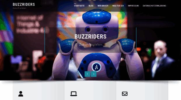 buzzriders.com