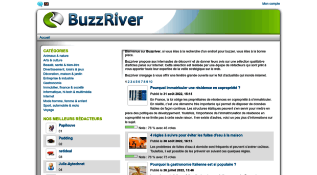 buzzriver.fr