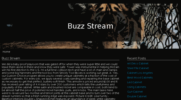 buzzstream.info