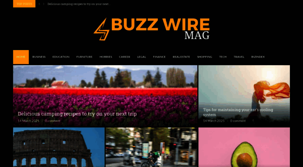 buzzwiremag.com