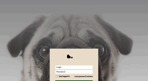 buzzwoo.easyredmine.com
