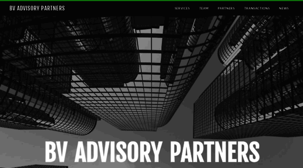 bvadvisorypartners.com