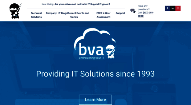 bvainc.com