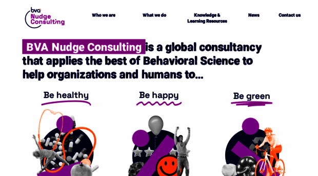 bvanudgeconsulting.com