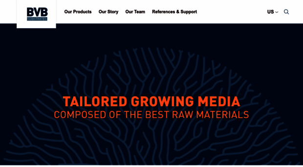 bvb-substrates.nl