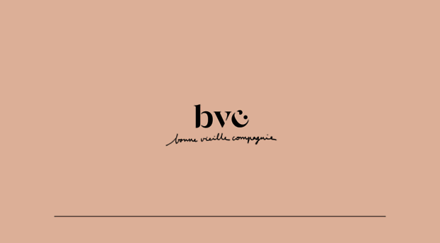 bvcgroup.co.uk