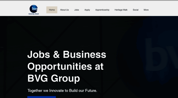 bvggroup.biz