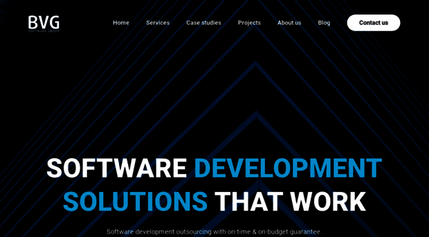 bvgsoftwaregroup.com