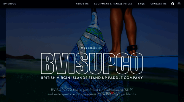 bvisupco.com