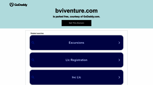 bviventure.com