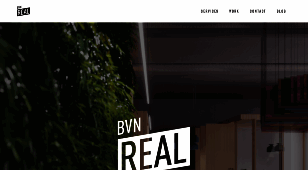 bvnreal.com