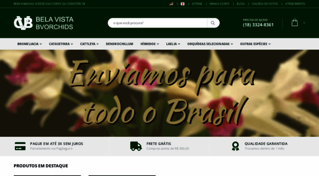 bvorchids.com.br
