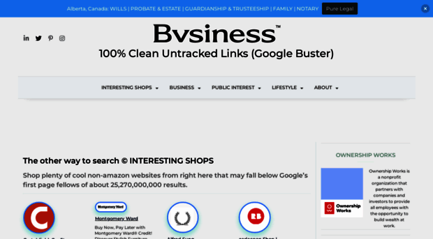 bvsiness.com