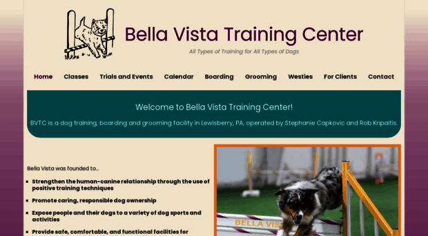 bvtrainingcenter.com